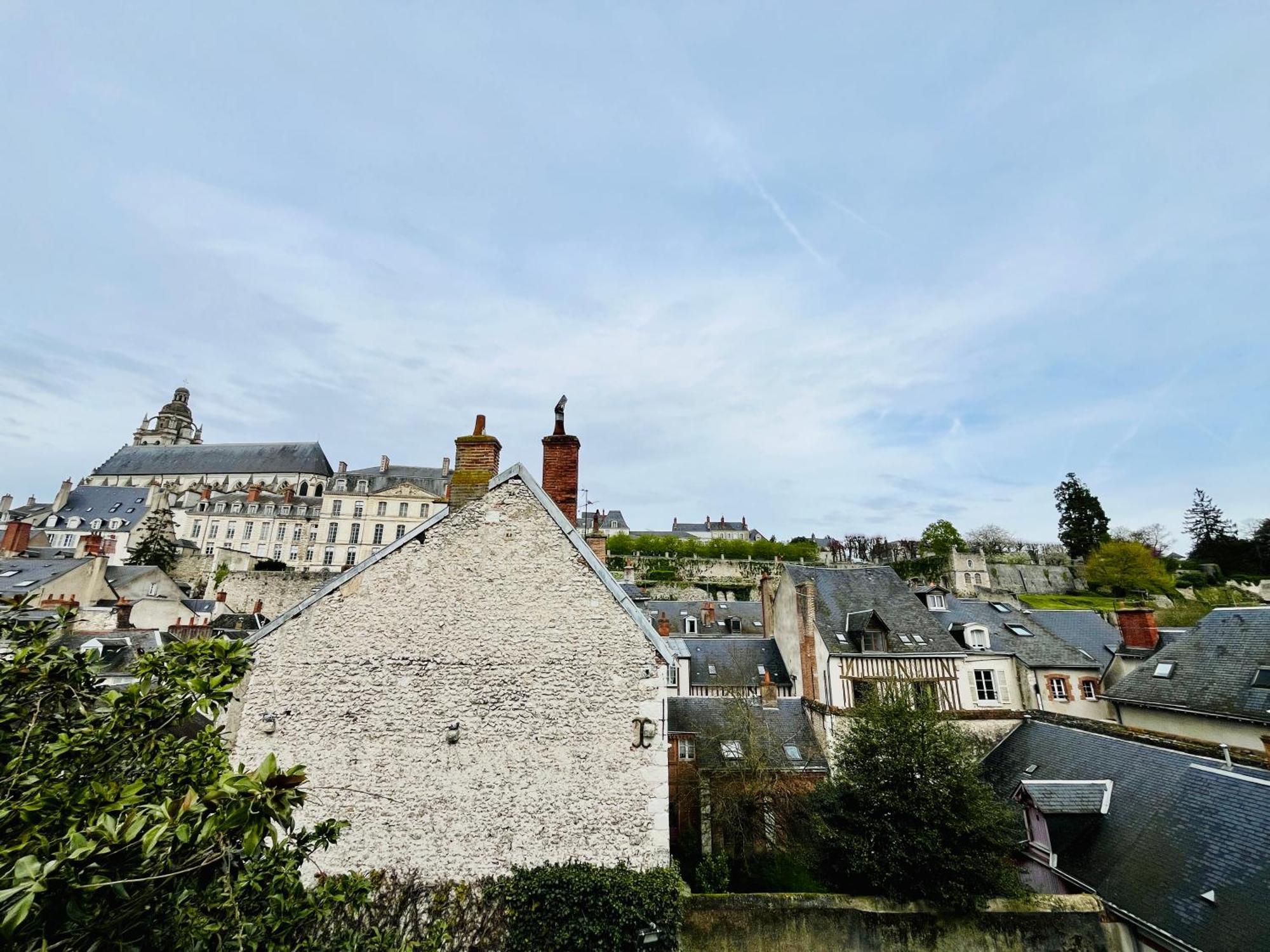 布鲁瓦Vue Loire, Hypercentre, Spacieux, Familial, Climatise, Le Quai De Loire公寓 外观 照片